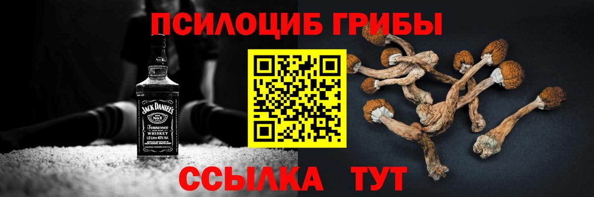 Галлюциногенные грибы MAGIC MUSHROOMS  Вход с VPN  сколько стоит  Топки 